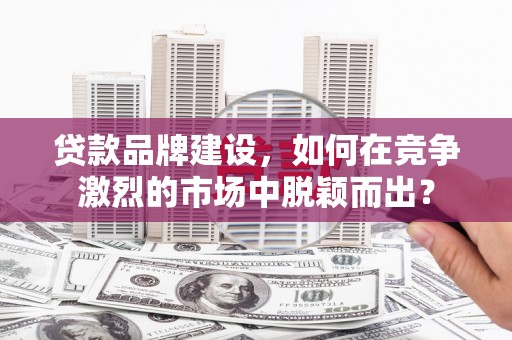 金东贷款品牌建设，如何在竞争激烈的市场中脱颖而出？