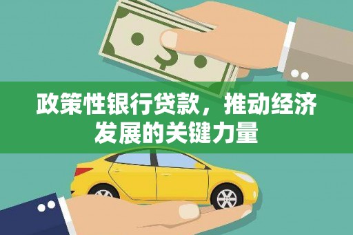 金东政策性银行贷款，推动经济发展的关键力量