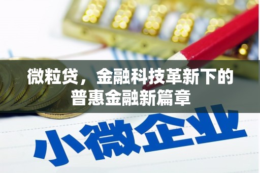 金东微粒贷，金融科技革新下的普惠金融新篇章