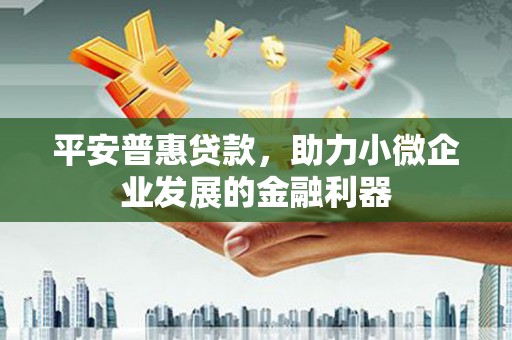 金东平安普惠贷款，助力小微企业发展的金融利器