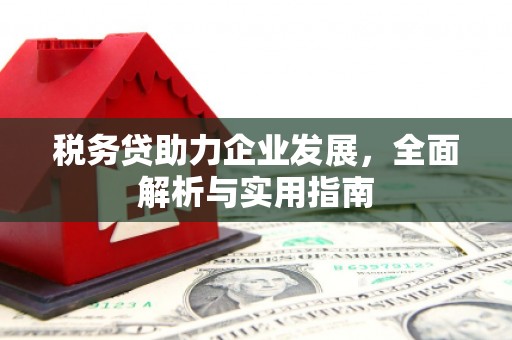 金东税务贷助力企业发展，全面解析与实用指南