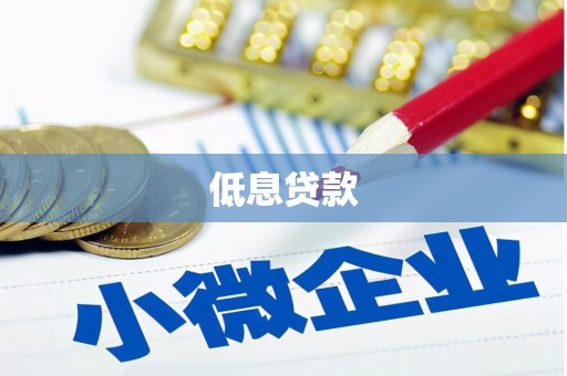 金东低息贷款