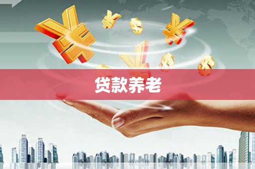 金东贷款养老