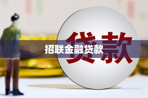 金东招联金融贷款