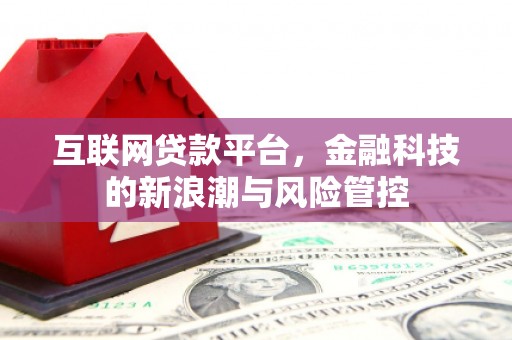 金东互联网贷款平台，金融科技的新浪潮与风险管控