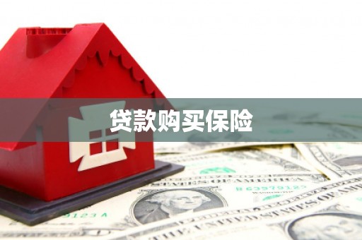 金东贷款购买保险