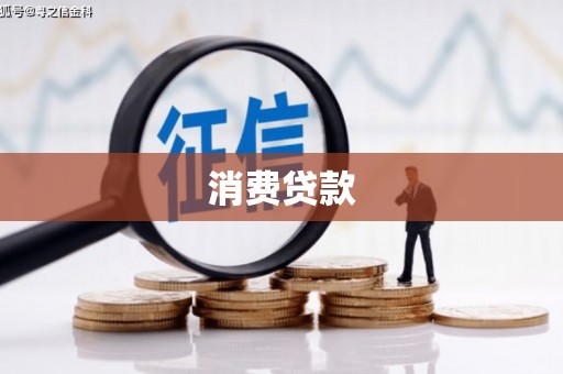 金东消费贷款