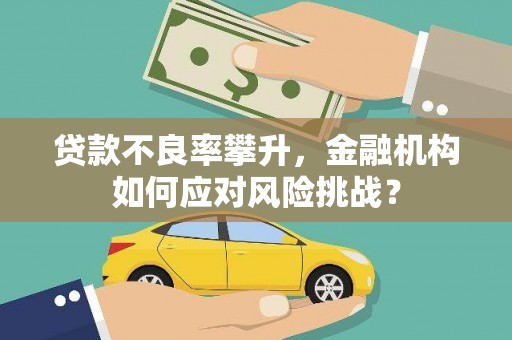 金东贷款不良率攀升，金融机构如何应对风险挑战？