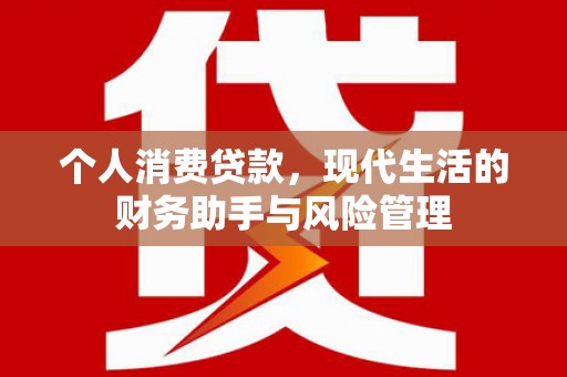 金东个人消费贷款，现代生活的财务助手与风险管理