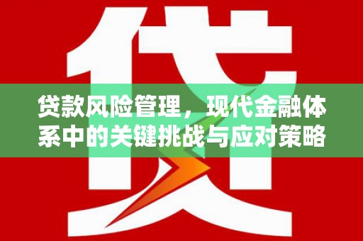 金东贷款风险管理，现代金融体系中的关键挑战与应对策略