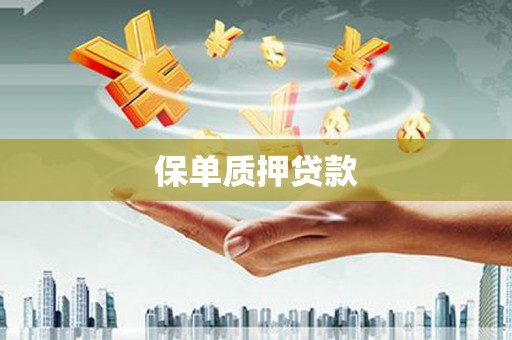 金东保单质押贷款