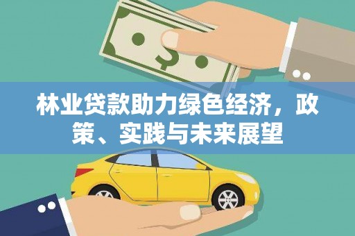 金东林业贷款助力绿色经济，政策、实践与未来展望