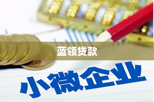 金东蓝领贷款