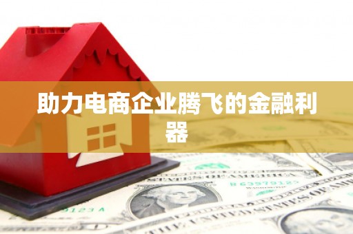 金东助力电商企业腾飞的金融利器