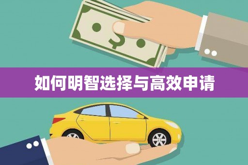金东如何明智选择与高效申请