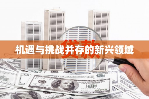 金东机遇与挑战并存的新兴领域