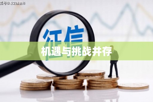金东机遇与挑战并存