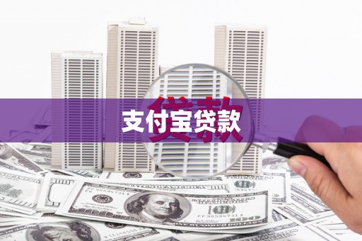 金东支付宝贷款