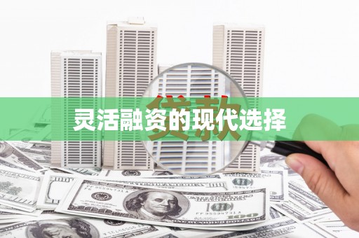 金东灵活融资的现代选择