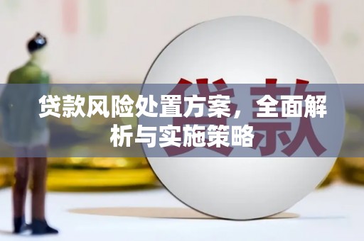 金东贷款风险处置方案，全面解析与实施策略