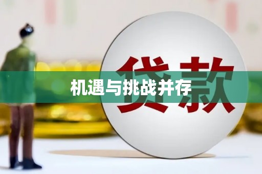 金东机遇与挑战并存
