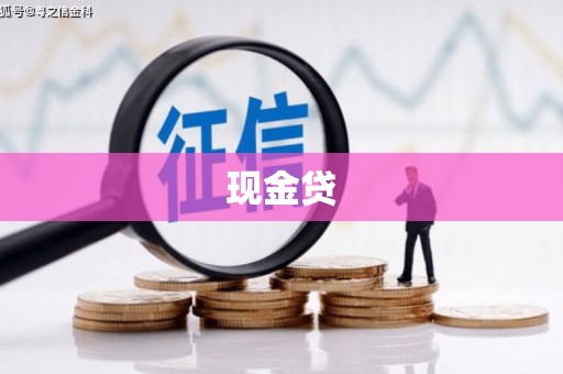 金东现金贷