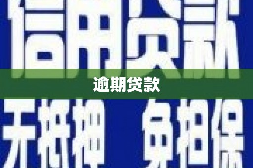 金东逾期贷款