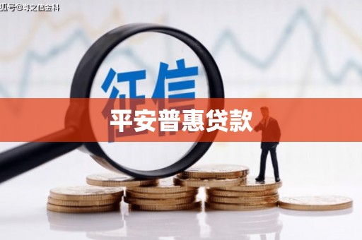 金东平安普惠贷款
