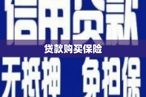 金东贷款购买保险