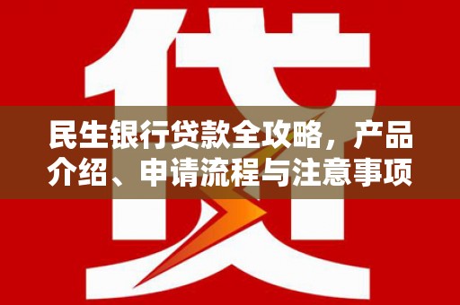 金东民生银行贷款全攻略，产品介绍、申请流程与注意事项