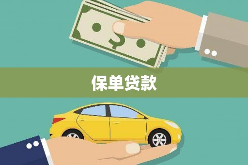 金东保单贷款